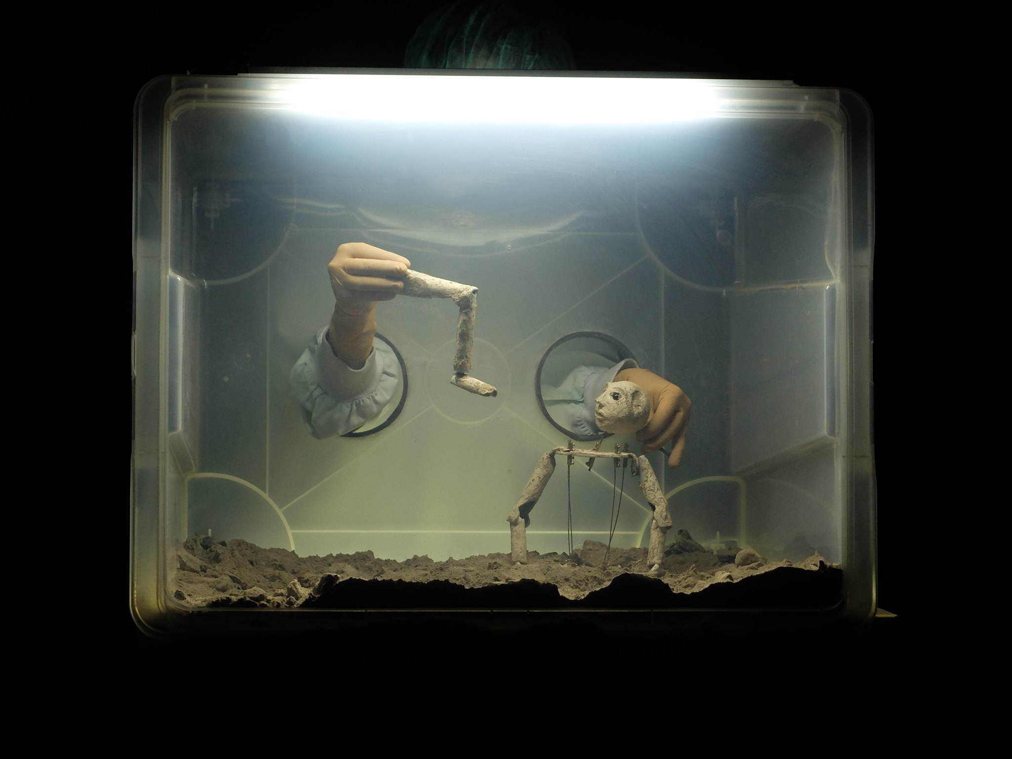 Couveuse4 ©Simon Caillaud